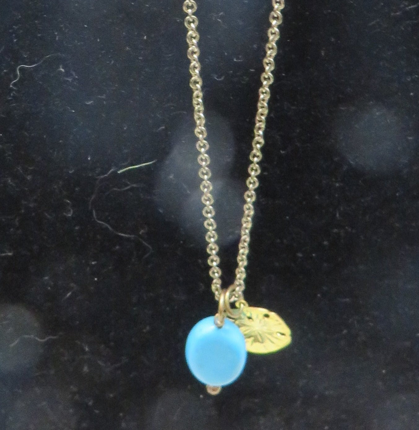 Turquoise Sand Dollar Charm Necklace (Gold)