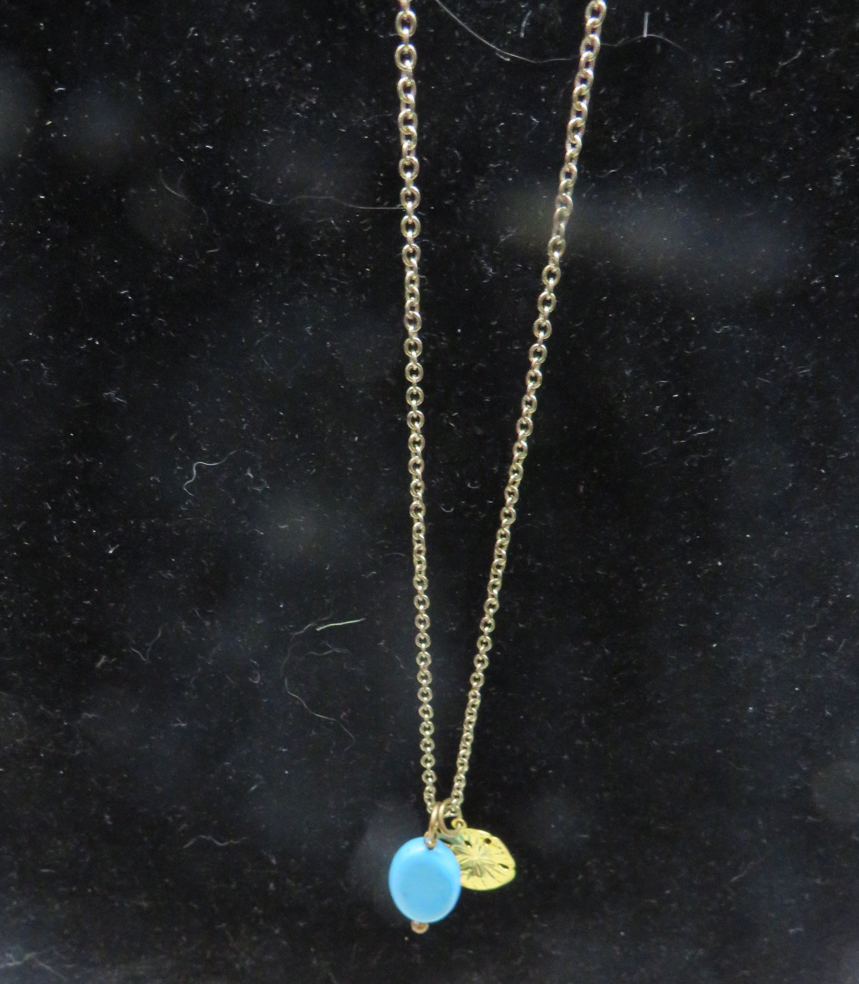 Turquoise Sand Dollar Charm Necklace (Gold)